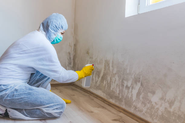 Mold Remediation specialist working in Line Lexington